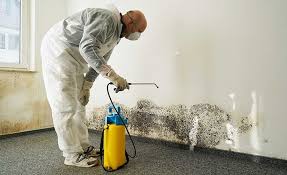 Professional Mold Remediation in Narberth, PA